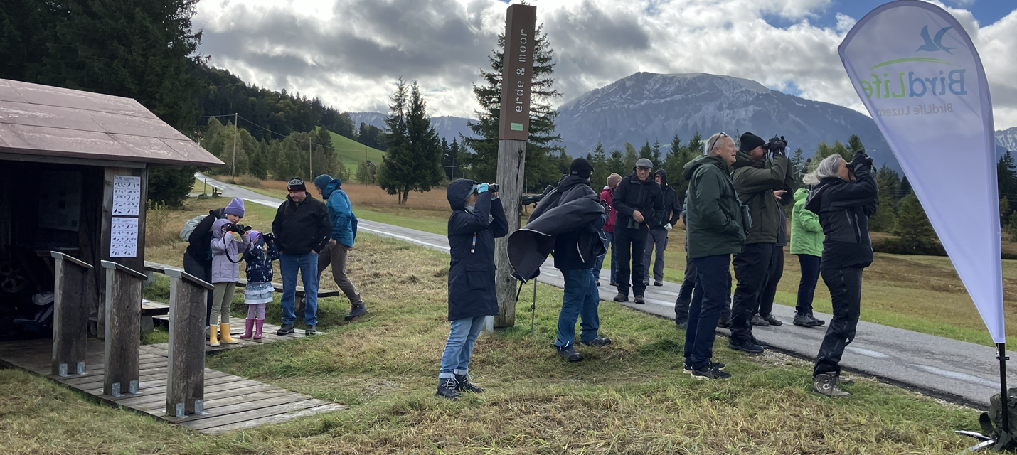 Vogelzug Mettelimoos