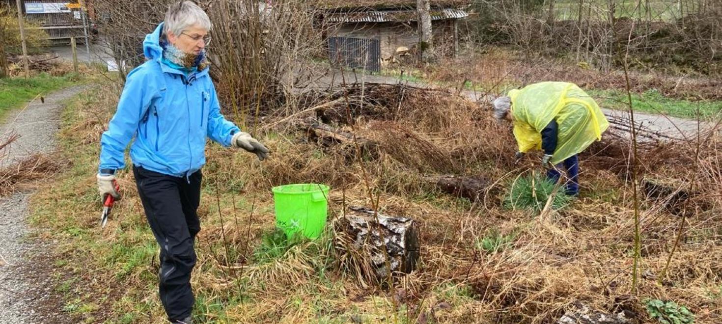 Pflegearbeiten Rollsportpark